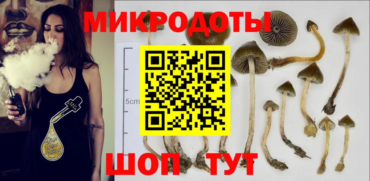 Псилоцибиновые грибы ЛСД Орёл